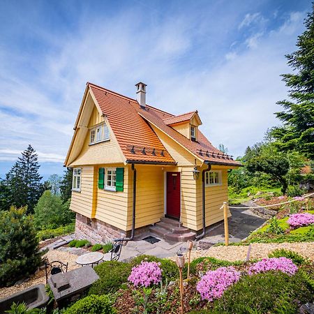 Sonnenhaeusle - Natur. Fernblick. Panorama-Sauna. Sasbachwalden Exteriér fotografie