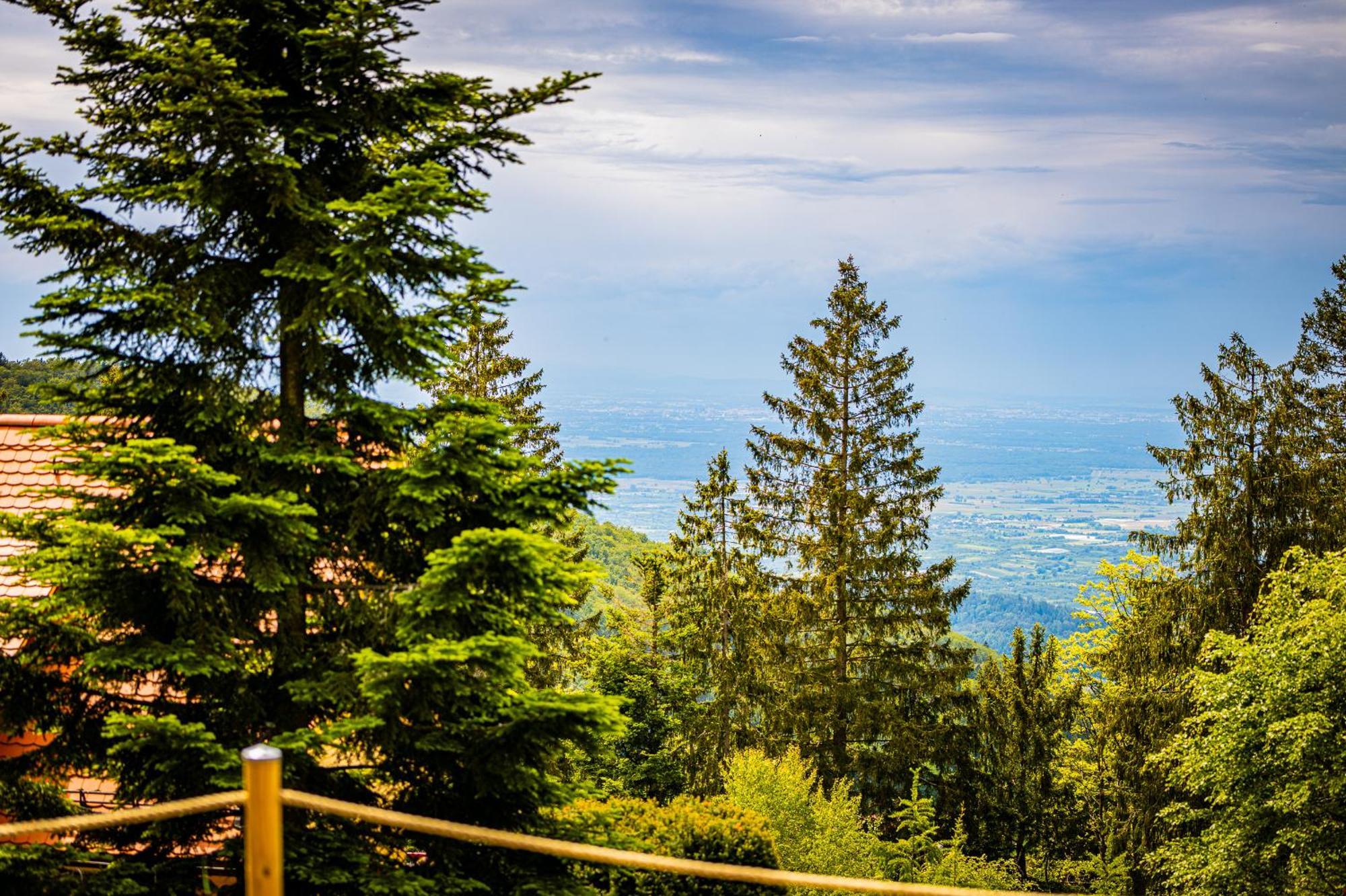 Sonnenhaeusle - Natur. Fernblick. Panorama-Sauna. Sasbachwalden Exteriér fotografie