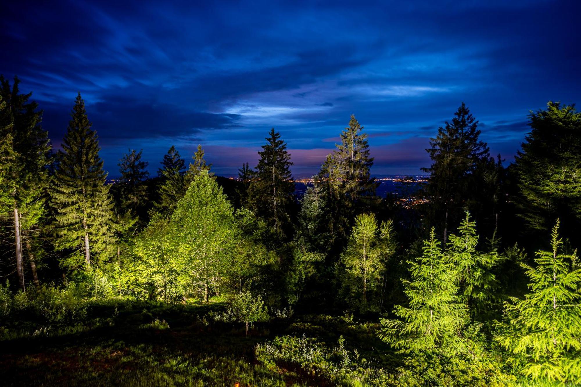 Sonnenhaeusle - Natur. Fernblick. Panorama-Sauna. Sasbachwalden Exteriér fotografie