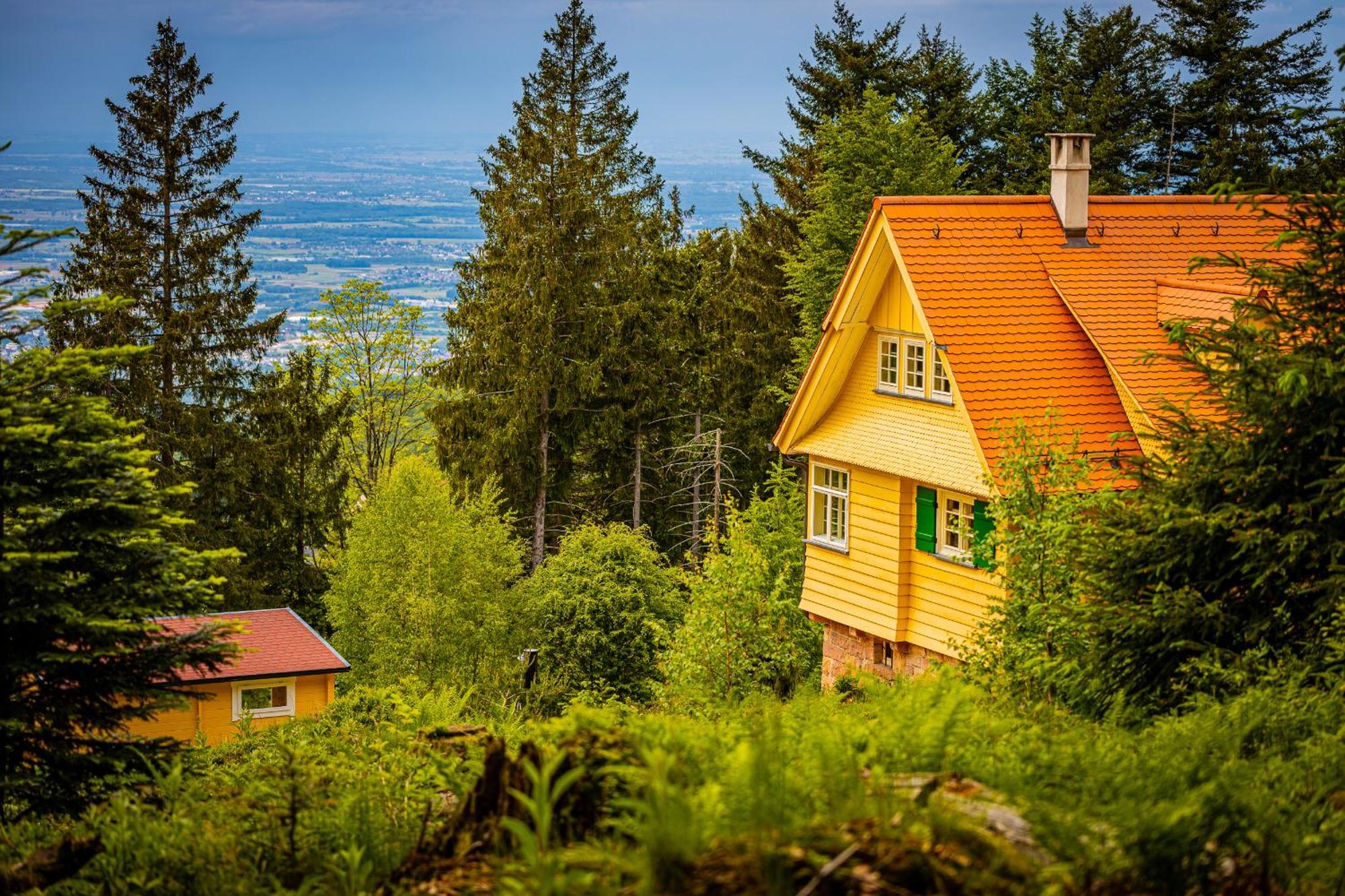 Sonnenhaeusle - Natur. Fernblick. Panorama-Sauna. Sasbachwalden Exteriér fotografie
