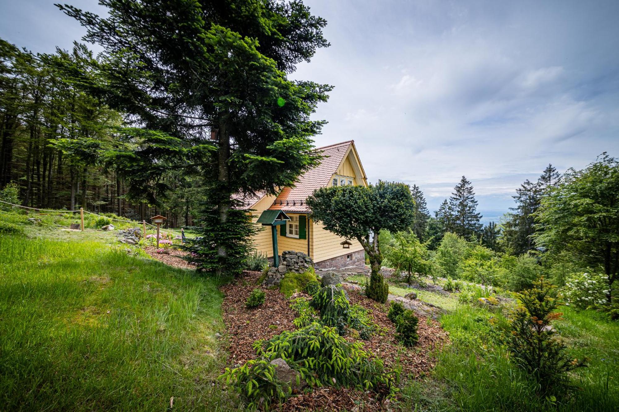 Sonnenhaeusle - Natur. Fernblick. Panorama-Sauna. Sasbachwalden Exteriér fotografie