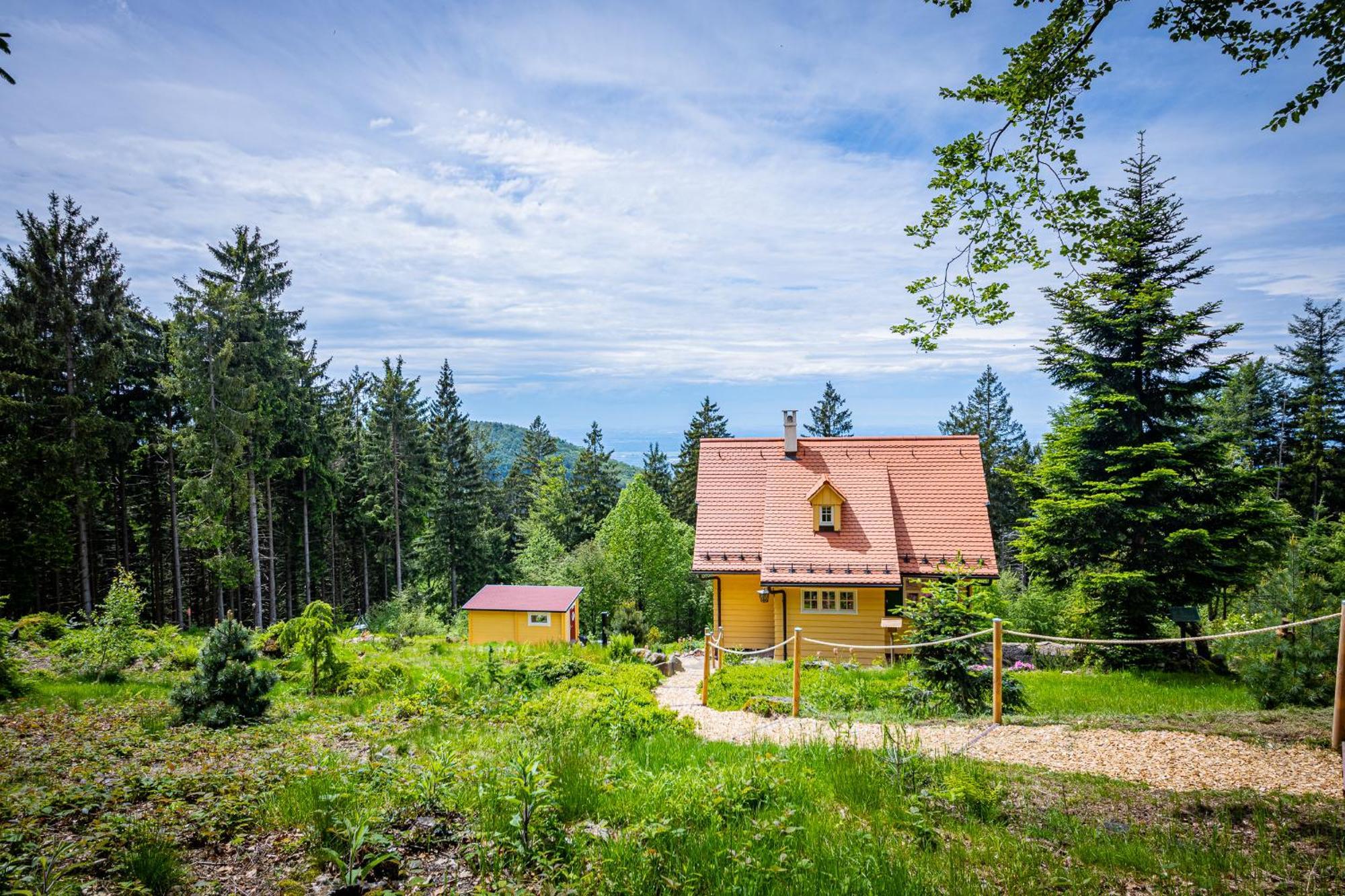 Sonnenhaeusle - Natur. Fernblick. Panorama-Sauna. Sasbachwalden Exteriér fotografie