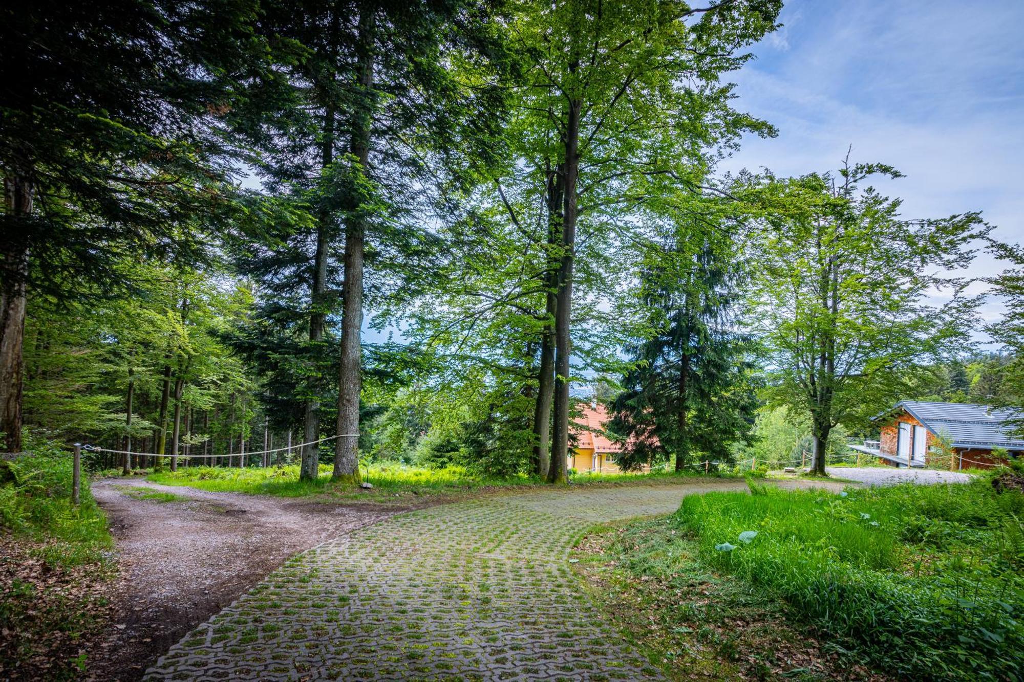 Sonnenhaeusle - Natur. Fernblick. Panorama-Sauna. Sasbachwalden Exteriér fotografie