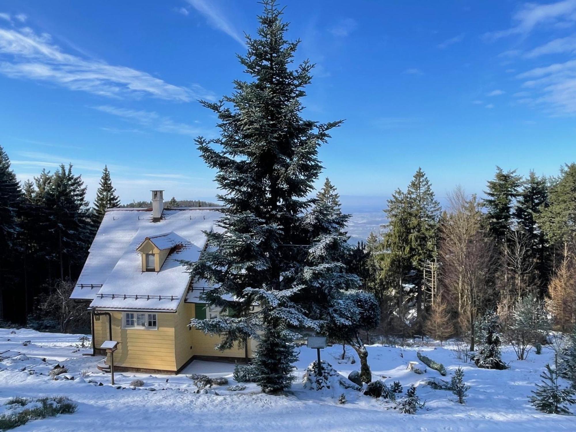 Sonnenhaeusle - Natur. Fernblick. Panorama-Sauna. Sasbachwalden Exteriér fotografie